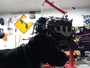 Furious_E